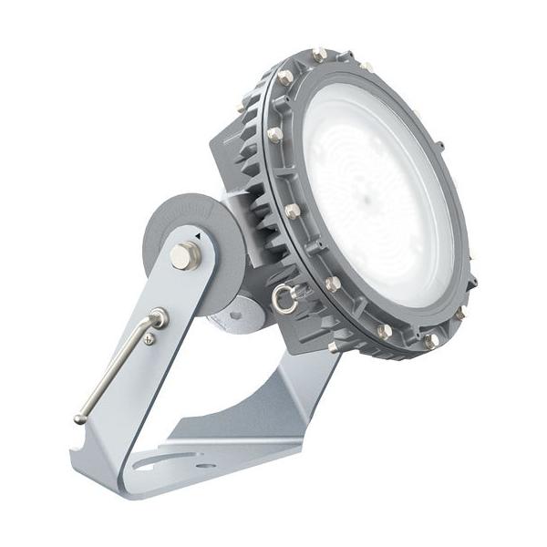 dC EXIL4083SA9-22 LEDioc EX DIO Z1 ^Cv Z~bN^nChv360W (EXIL4083SA922)