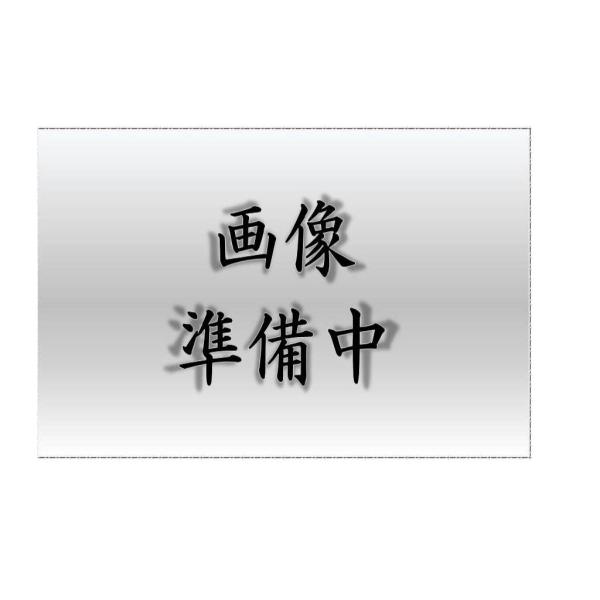 TOSHIBA 【東芝 】 LEEM-40203N-01 (LEEM40203N01 )LEDベース TOSHIBA 【東芝 】 LEEM-40203N-01 (LEEM40203N01 )LEDベース