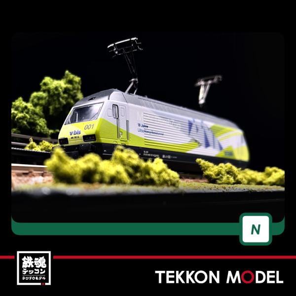 Nゲージ LEMKE K137124 BLS Re465 001 L tschberg Basistunnel