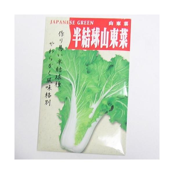 【固定種】半結球山東菜の種5ml(約1200粒）　畑懐〔はふう〕の種【メール便可】