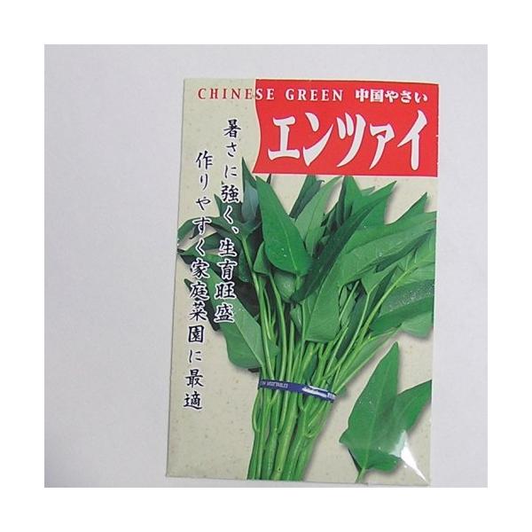 【固定種】エンツァイ〔空心菜〕10ml約150粒　畑懐〔はふう〕の種【メール便可】