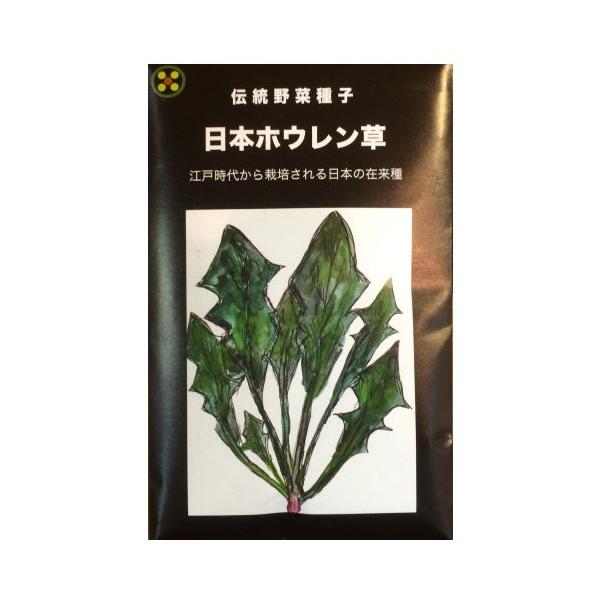 【固定種】日本ホウレン草50ml(約1600粒）　畑懐〔はふう〕の種【メール便可】