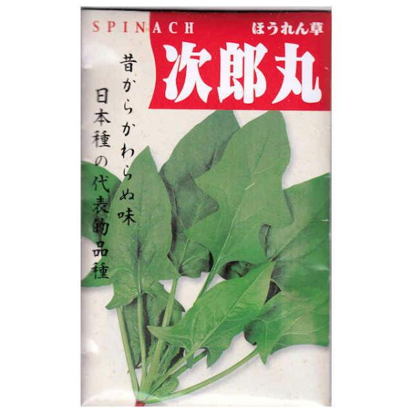 【固定種】次郎丸ホウレン草の種50ml(約1600粒）　畑懐〔はふう〕の種【メール便可】