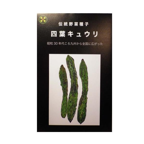 【国内採種/固定種】四葉〔スーヨー〕きゅうり1.5ml約25粒　畑懐〔はふう〕の種【メール便可】