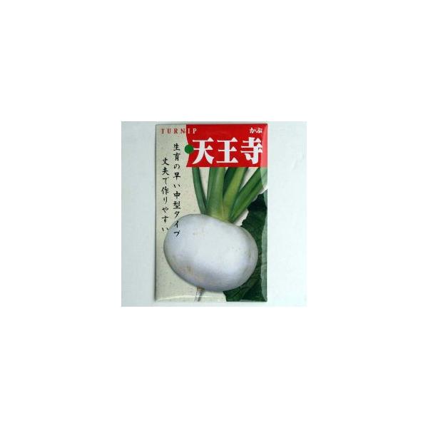 【固定種】天王寺カブの種5ml(約900粒）　畑懐〔はふう〕の種【メール便可】
