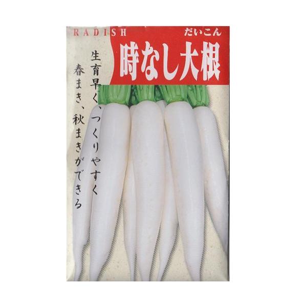 固定種】時なし大根の種5ml(約350粒） 畑懐〔はふう〕の種【メール便可 