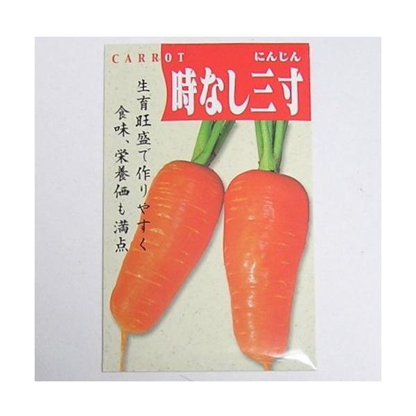 人参の種 9袋セット tekuteku-net_hn130640