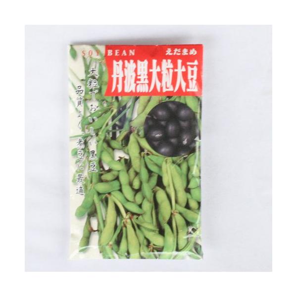 【国内採種/固定種】丹波黒大粒大豆50ml約45粒　畑懐〔はふう〕の種【メール便可】