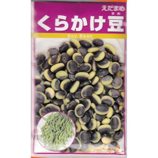 【国内採種/固定種】くらかけ大豆50ml約100粒」畑懐〔はふう〕の種　畑懐〔はふう〕の種【メール便可】