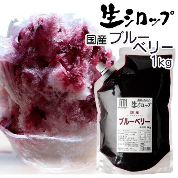 天然フルーツのかき氷シロップ 氷屋さんちの削氷 〔けずりひ〕 生シロップ 国産 ブルーベリー　1kg 【冷凍】