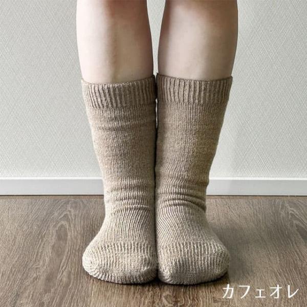 tekuteku-net_thswr_3_d_20231005093021