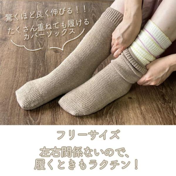 tekuteku-net_thswr_4_d_20231005093022