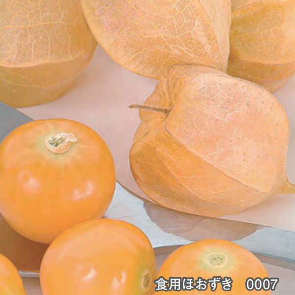 食用ほおずきのタネ約30粒入り 無農薬 無化学肥料 固定種 たねの森 メール便可 Tm0007 冷えとりとやさしい暮らしてくてく 通販 Yahoo ショッピング