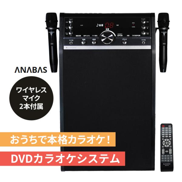 DVDカラオケシステム (ワイヤレスマイク 2本付属) 太知(タイチ) DVD-K110★