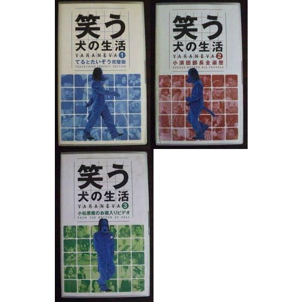 Vhs 笑う犬の生活 3本セット Vol 1 3 てるとたいぞう完璧版 小須田部長全遍歴 小松悪魔のお蔵入り テレカバリュー 通販 Yahoo ショッピング