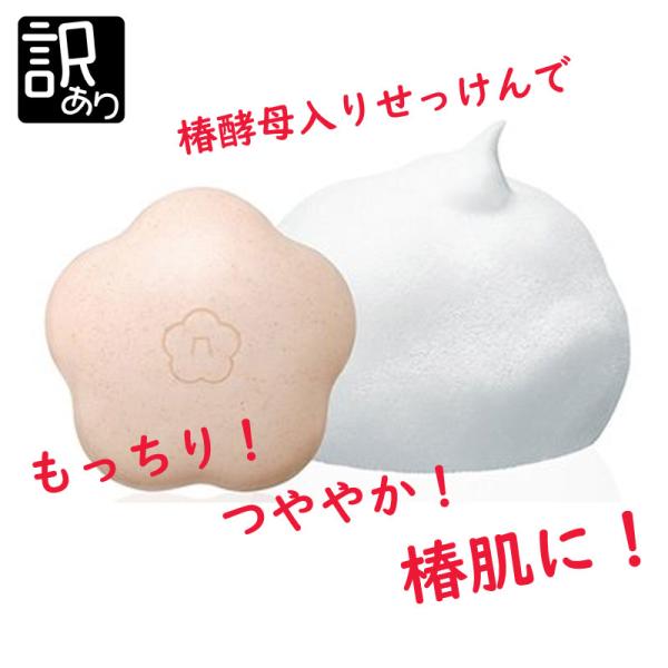 MTG 五島の椿 椿酵母せっけん 60g（1個） 洗顔石鹸 固形 洗顔
