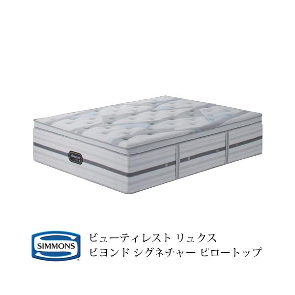 VY }bgX AA21BS1 NC[TCY rhVOl`[s[gbv r[eBXgNXwsxw󒍐Yix