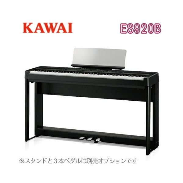 [撅v[gL] KAWAI ͍y퐻쏊 JC fW^sAm dqsAm GLsAm ES920B [_p[y_t^X^hE3{y_ʔ]