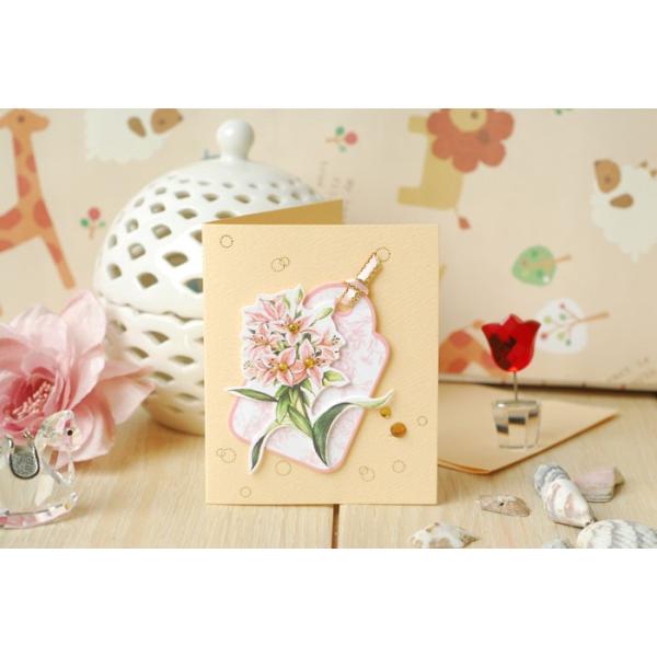 bZ[WJ[h MtgJ[h t ~j TNXJ[h oYj v[gJ[h a ȎD  Mtg 񂹏 ̓