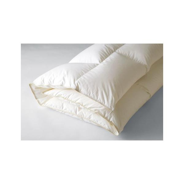 {xbh Hъ|ӂƂ v~AtH[^[95 Z~_uE_uTCY 50866 SD D