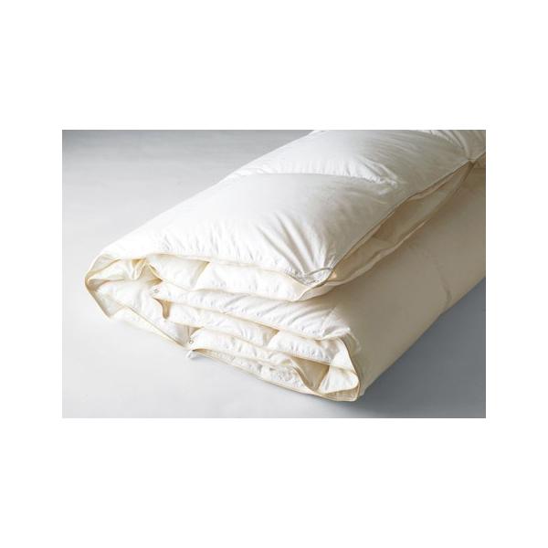 {xbh Hъ|ӂƂ{Hє|ӂƂ v~AfAtH[^[95 VOTCY 50867 S