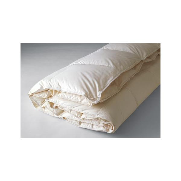 {xbh Hъ|ӂƂ{Hє|ӂƂ CfAtH[^|93 Z~_uE_uTCY 50869 SD D