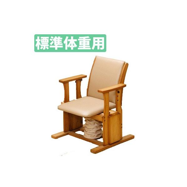 ؍H N⏕֎q nC^Cv { NK-2001 W̏dpmnmsn