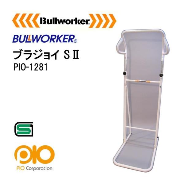 u[[J[ uWC S2 Ԃ牺茒N PIO-1281  (kCEꌧE͏) s