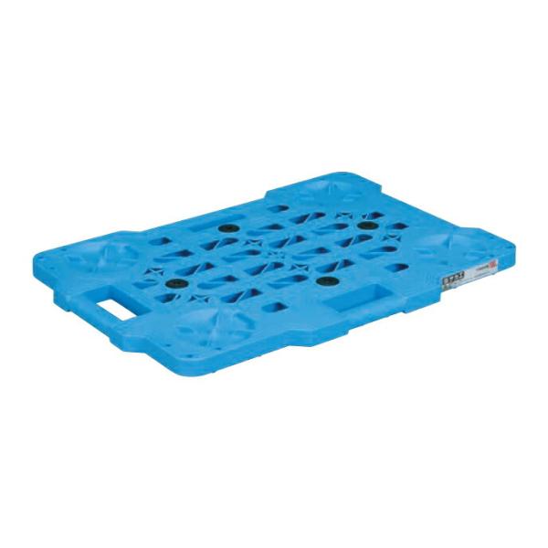 TJG SAKAE / u{[hiPOZbgj@rbm|lSOOw ElzEzԎws ԏn