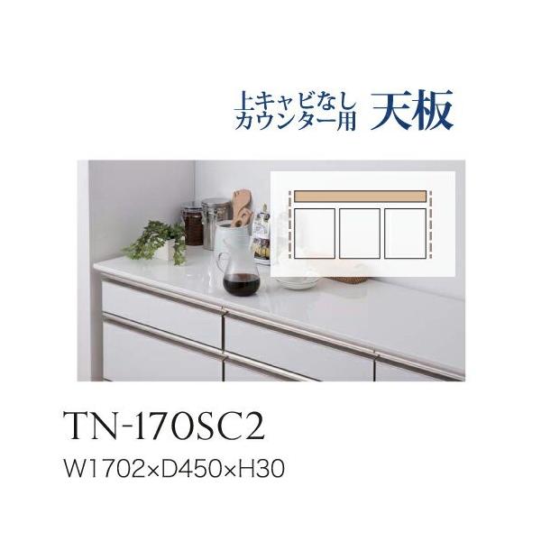 쐻쏊 jbgHI BASIS xCVX JE^[V  ʘAȂ TN-170SC2 s