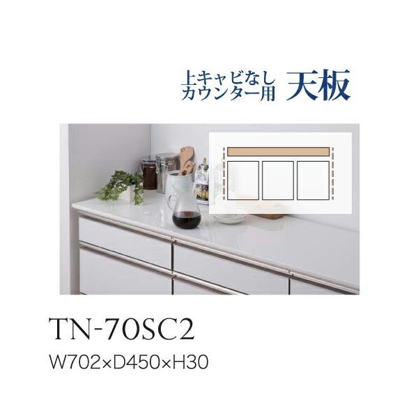 쐻쏊 jbgHI BASIS xCVX JE^[V  ʘAȂ TN-70SC2 s