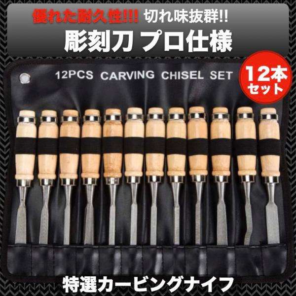 ノミ 彫刻刀 12本セット 篆刻刀 カービングナイフ 大工道具 工具 鑿 収納袋付き 削り カンナ 木工 木彫り 木像 木槌 金槌 荒削り