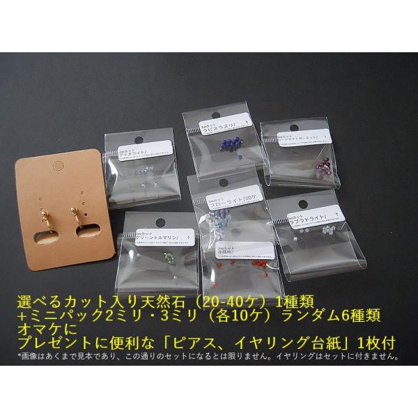 天然石アソート ポイント5倍・キラキラ天然石アソートパック!!好きな天然石1種類(2〜30