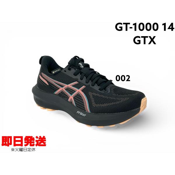 ASICS（アシックス） ランニングシューズ GT-1000 14 GTX レディース