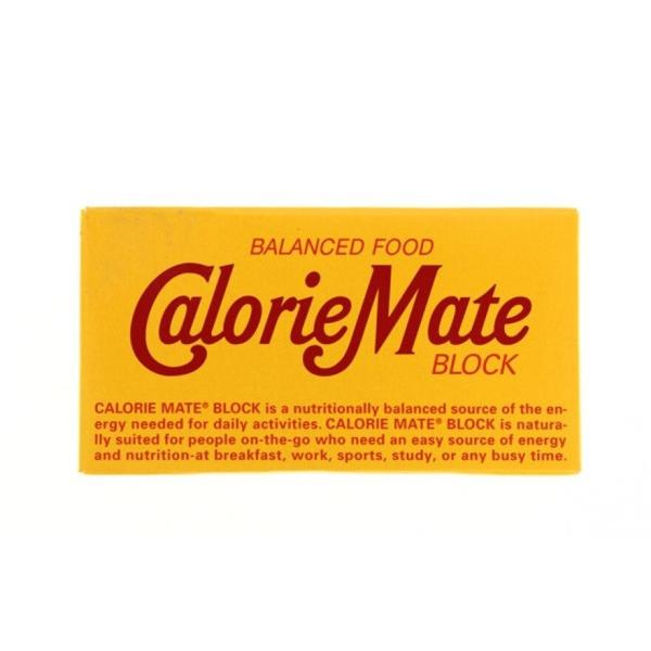 カロリーメイトブロック 2本入 チョコレート味