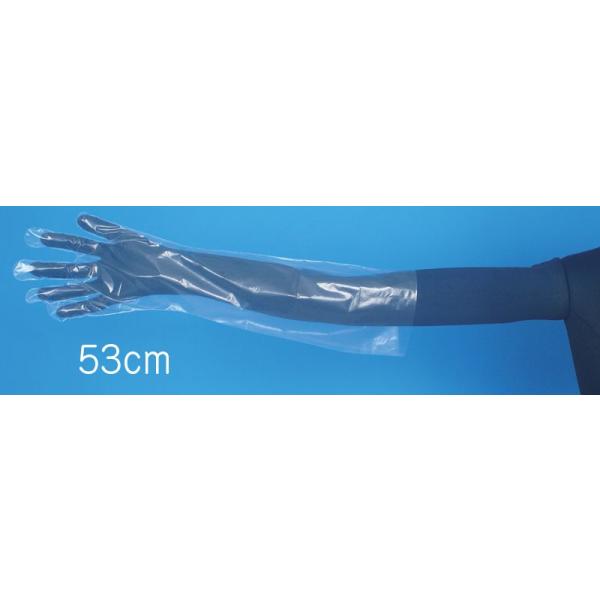 [53cm]Ɩp_ChOO[u G{XHijt[TCY 15.98~(Ŕ)y5,000zP[X@HiHꓙ̐ƂɍœK