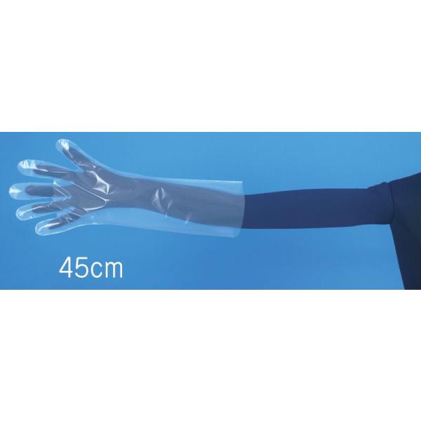 [45cm]ƖpP~JOO[uijt[TCY 119.55~(Ŕ)y200zĝă|G`OO[u