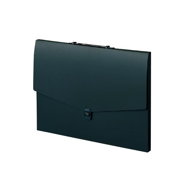 人気第1位 まとめ セキセイ アルタートケース Art 802 60 黒 2セット 送料込 売り尽 Www Iacymperu Org