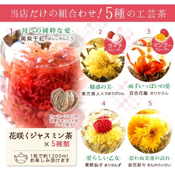 ジャスミン茶 花 咲くお茶 工芸茶 5種 詰め合わせ 自宅用 ブルーミングティー メール便 Buyee Buyee Japanese Proxy Service Buy From Japan Bot Online