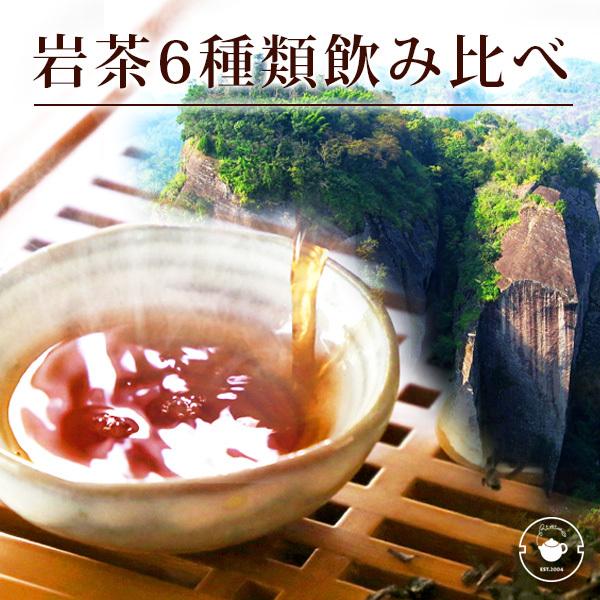 ギフト 烏龍茶 高級 武威岩茶 6種類飲み比べセット お試し 大紅