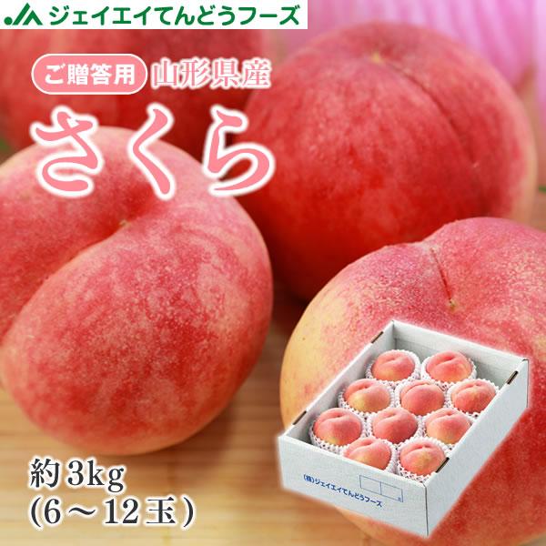 贈答用 ギフト 山形県産 白桃 さくら 約3kg(6〜12玉) もも 【9月上旬〜中旬発送予定】