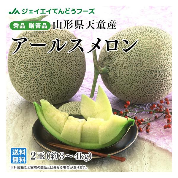 メロン アールスメロン 2玉」の人気商品一覧 | 安い商品を通販