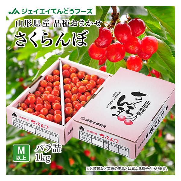 ご自宅用 さくらんぼ 山形県産 品種おまかせ 約1kg M玉以上 バラ詰め 爆買