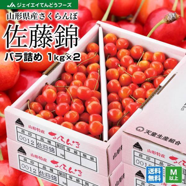 さくらんぼ 山形県産 佐藤錦 ご自宅用 約1kg×2箱 M玉以上 バラ詰め rc02