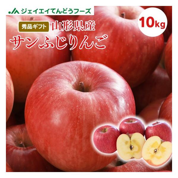 t[c Mtg    R`Y Tӂ 10kg ꕔn͕ʓrǉ Ε  11{菇o ap19