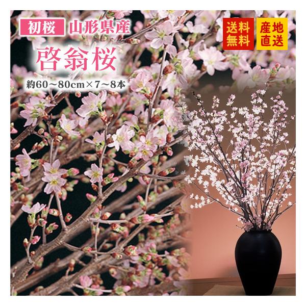  w[x7{ R`Y 60`80cm ꕔn͕ʓrǉ