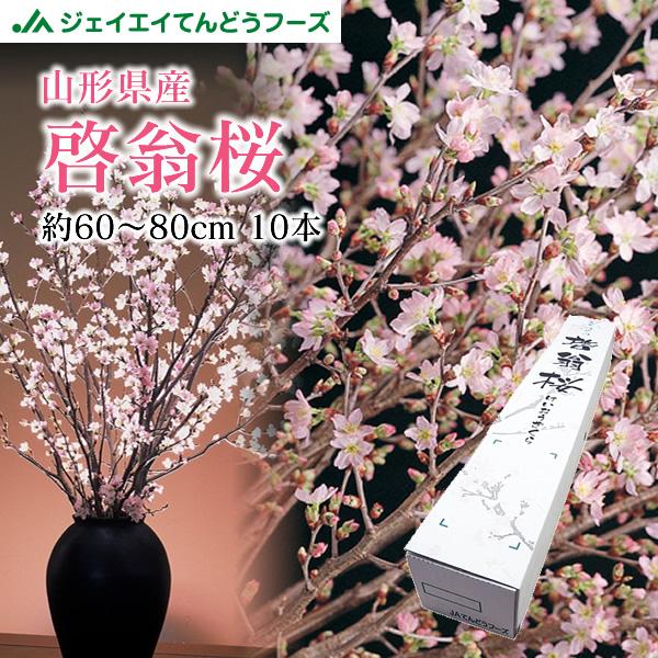 ◆商品詳細内容量：10本産地：山形県※画像はイメージです。実際とは異なる場合があります。◆納品明細書・領収書誠に恐れ入りますが、原則として省略させて頂きます。◆ご注意植物の特性上、花つき・サイズが多少異なる場合がございます。つぼみの状態でお...