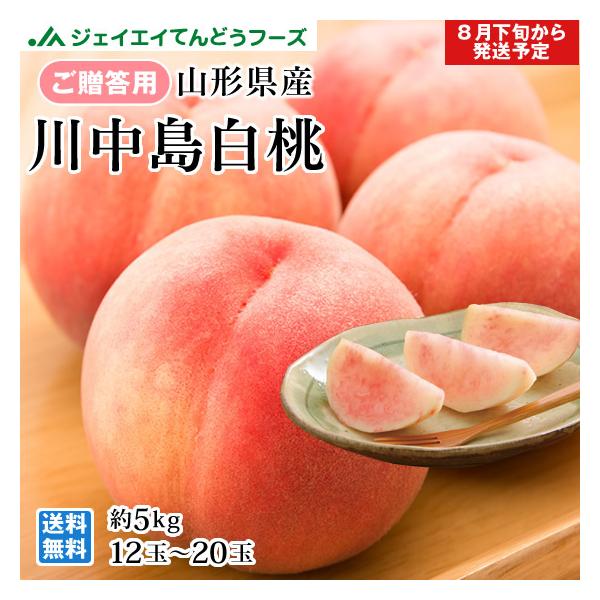 爆買 予約商品 桃 川中島白桃 約5kg （12〜20玉） 秀品 山形県産