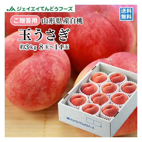 桃 ギフト 白桃 玉うさぎ 約2 6kg 8 10玉 山形県産 桃 贈答