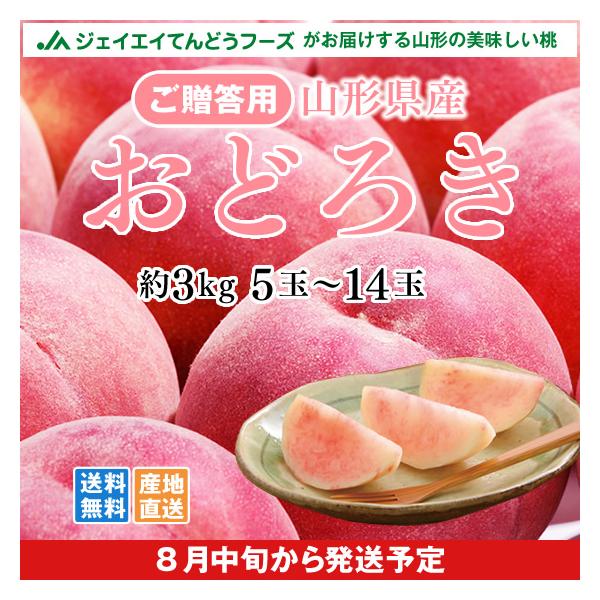tendofoods_momo-f33
